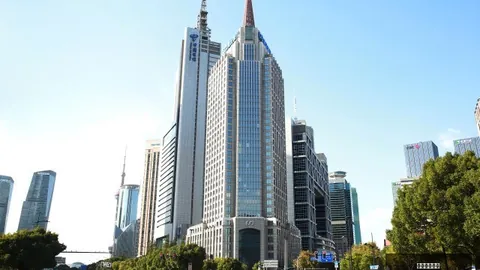 哈兰德发型解析足球投注网站平台：长发短发皆帅气，索博真情告白